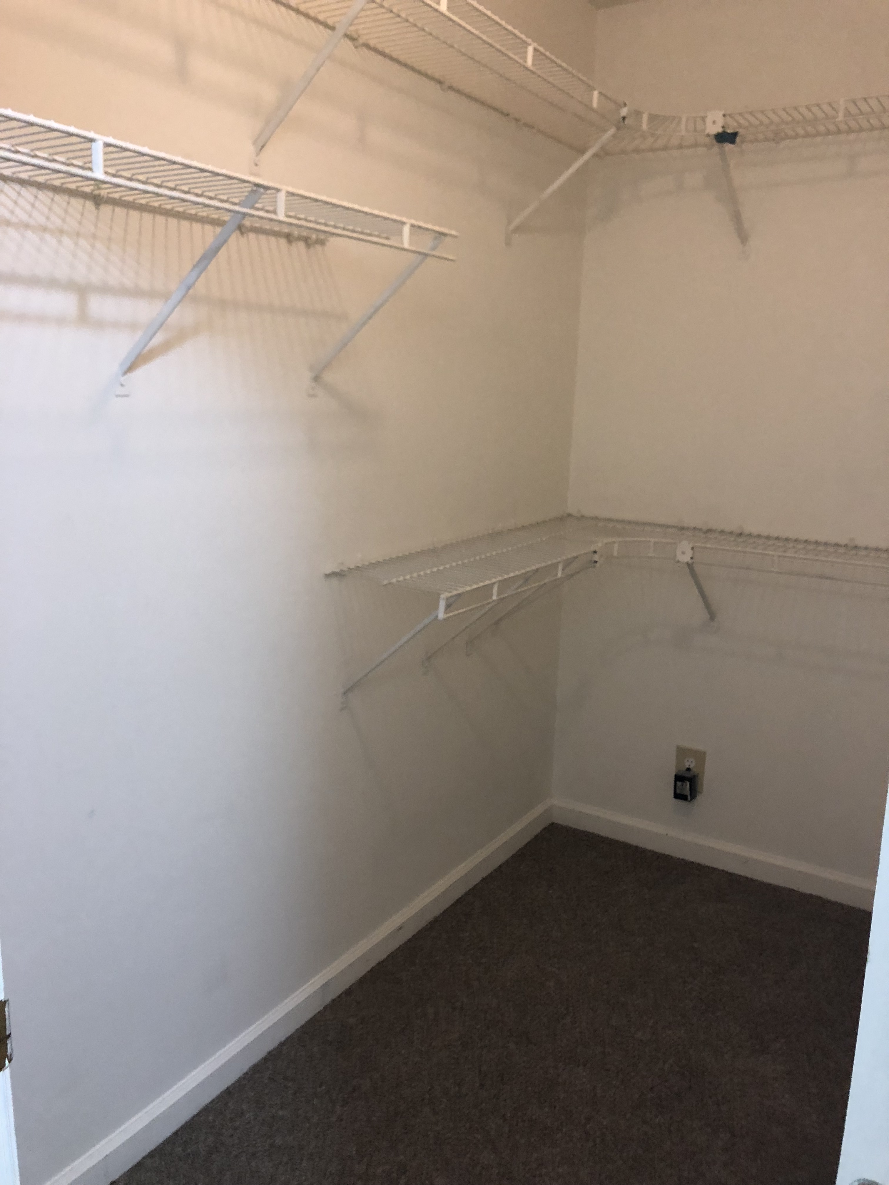 Gallery Photo 7